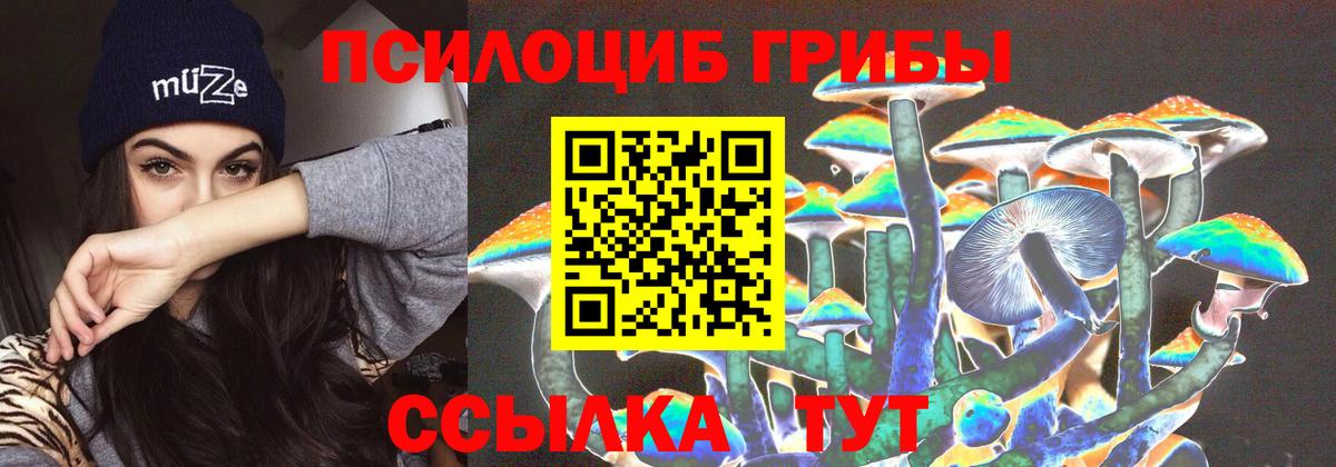 Галлюциногенные грибы ЛСД  Вход с VPN  Ефремов 