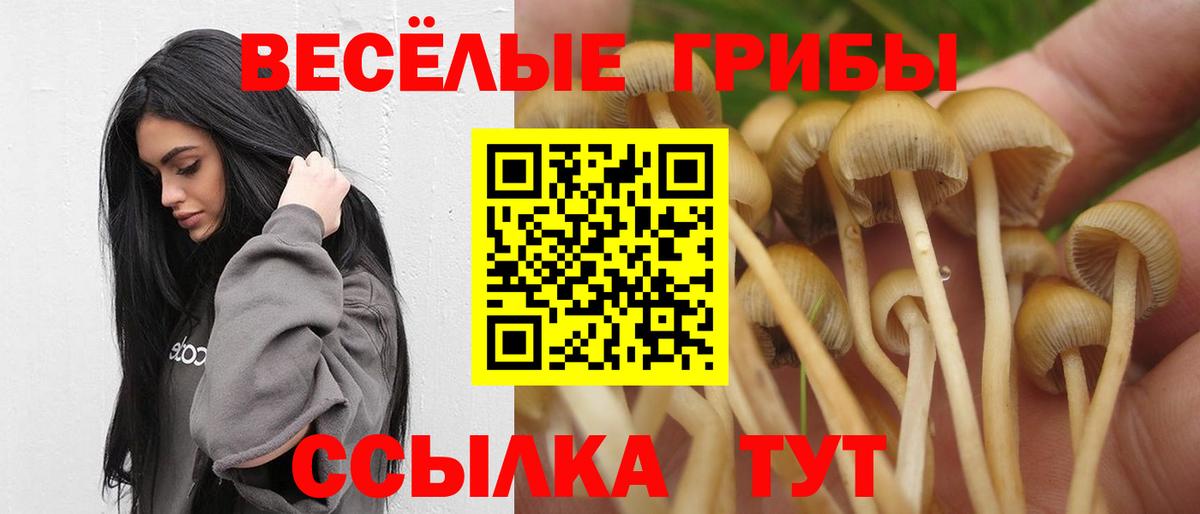 Галлюциногенные грибы прущие грибы Ефремов